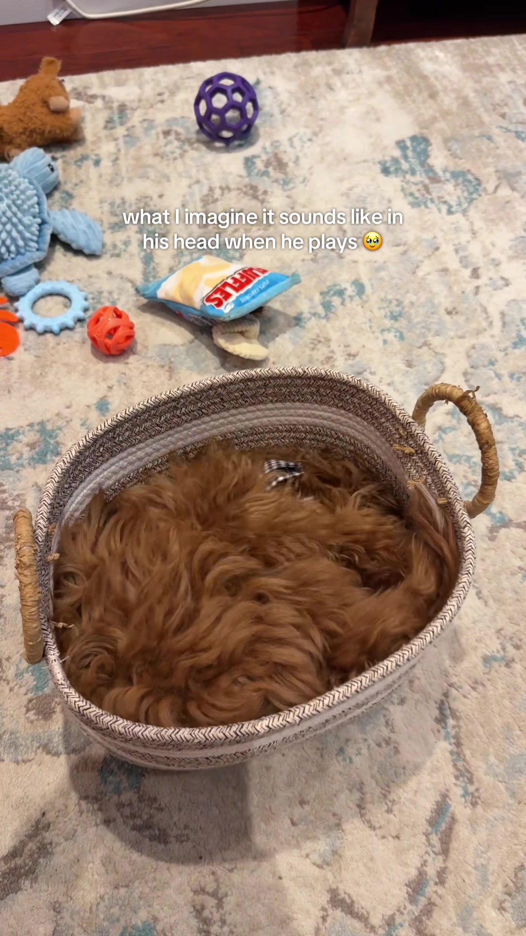 @lennie 🐶