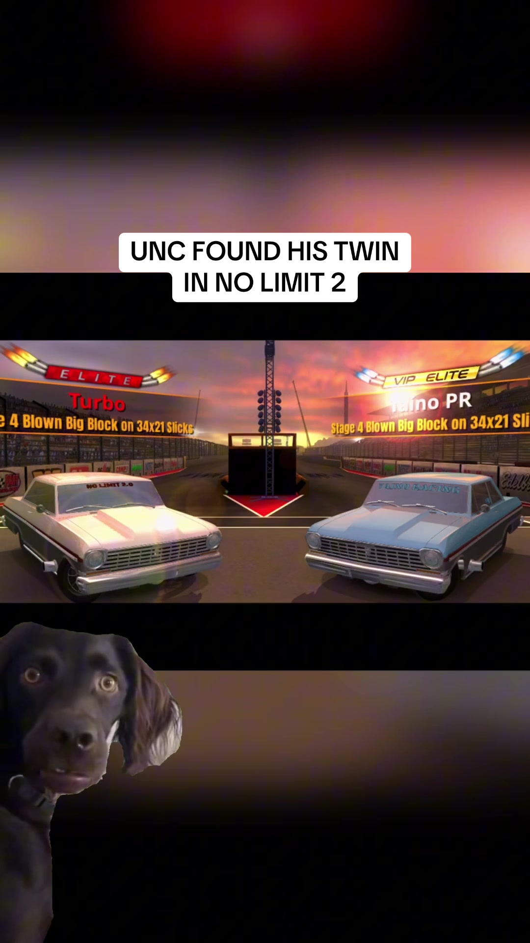 @Turbo
