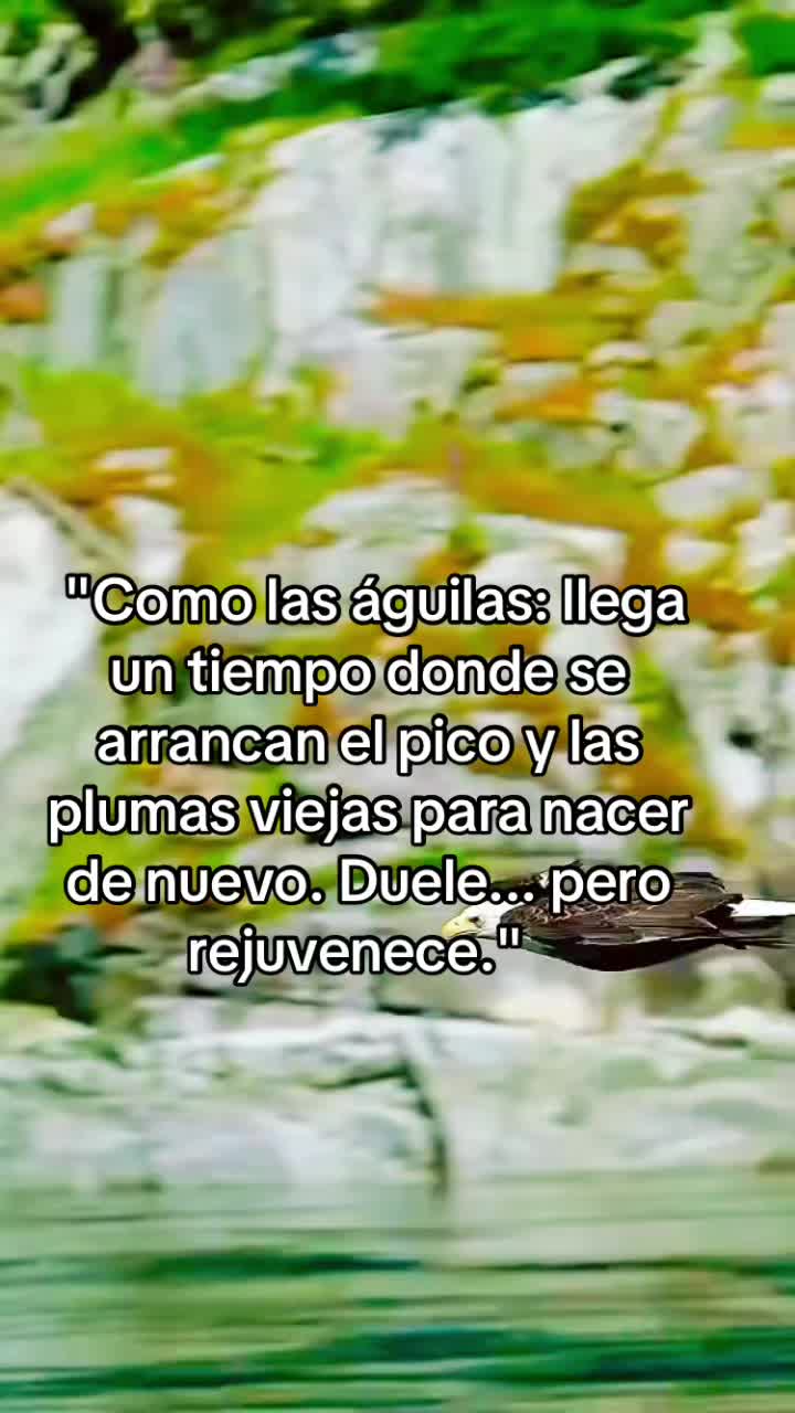 @nelson.molina232