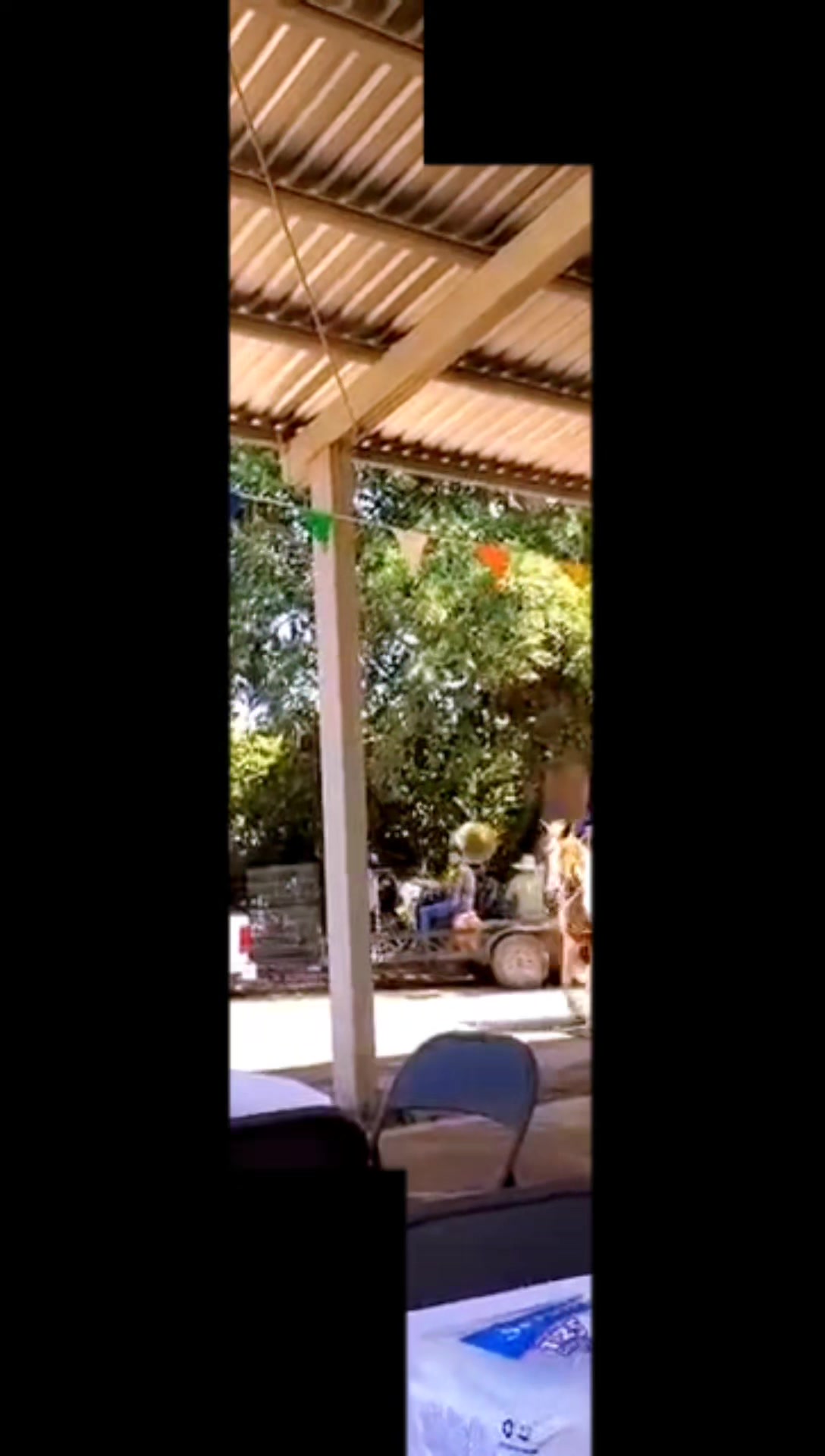 @Que bonito es lo 🐺 bonito🤠