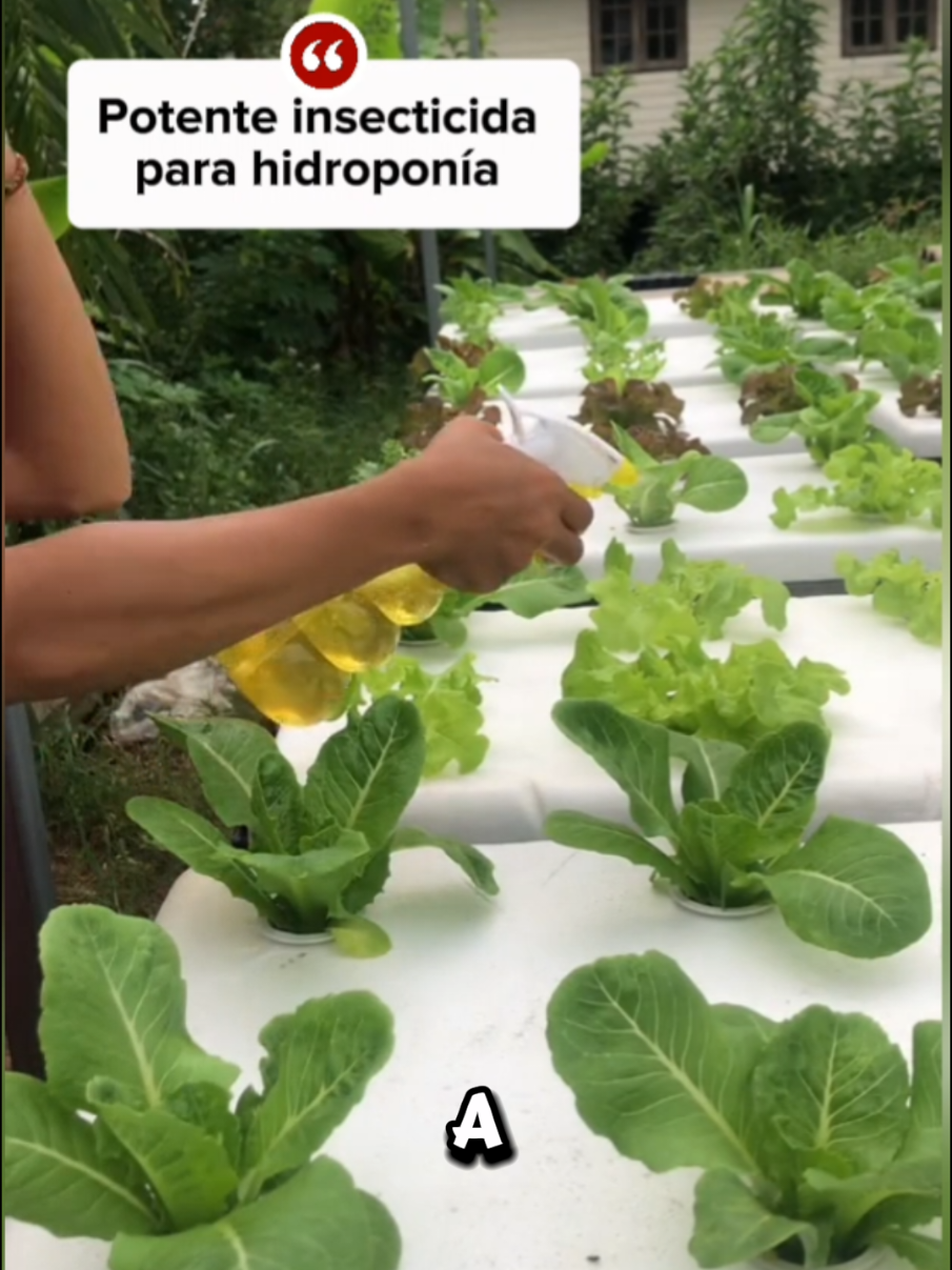 @Osshira| Jardineria y Huerto