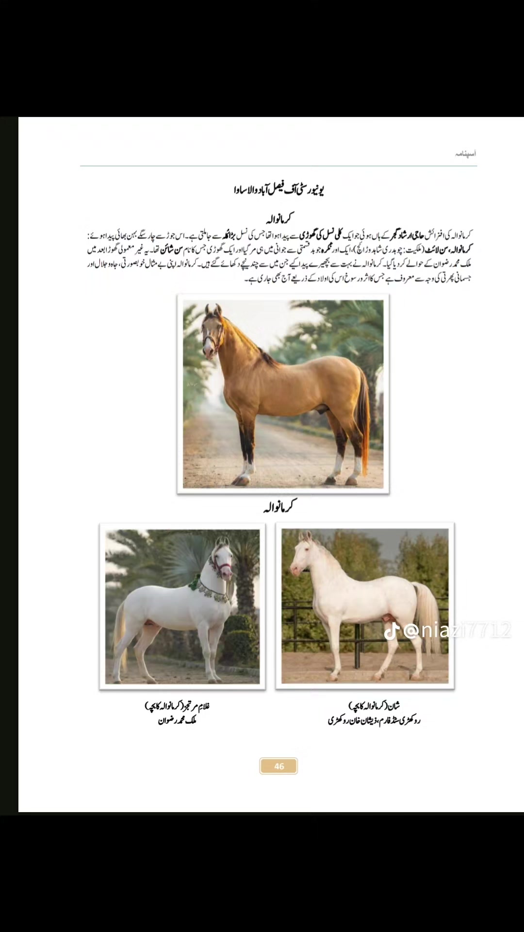@hamara village sipyala🐴🐎🇵🇰