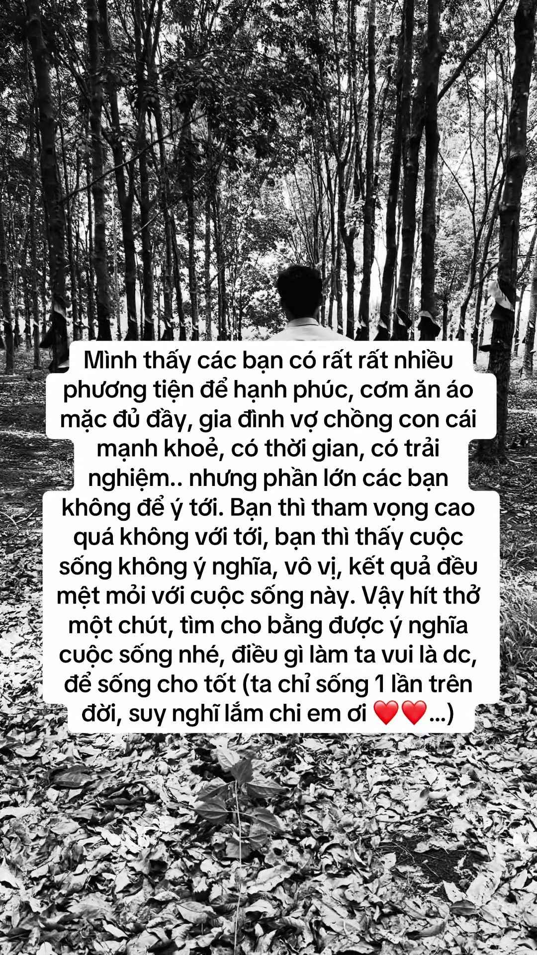 @Quốc Tiến ✅