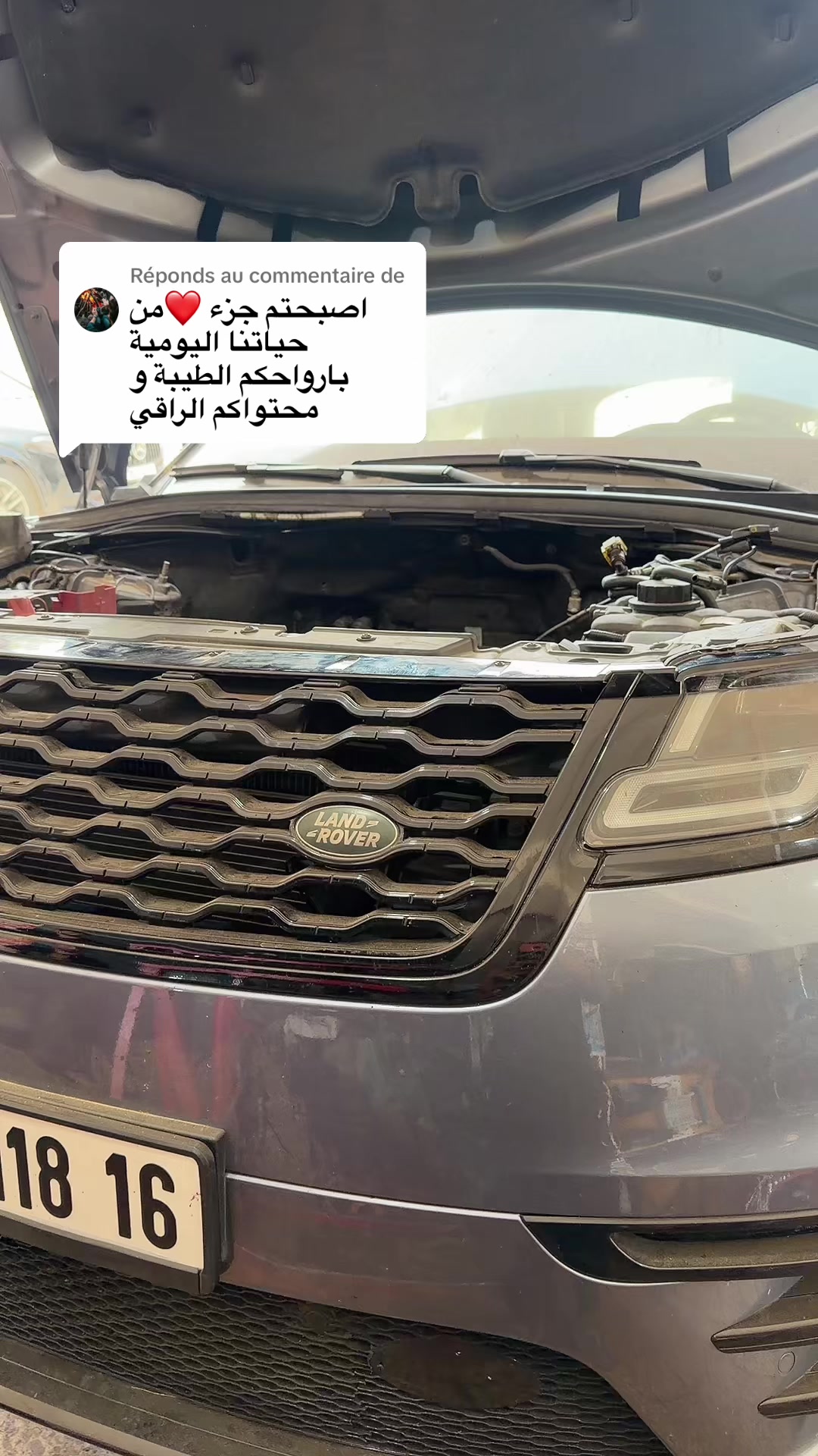 @toutou rangerover