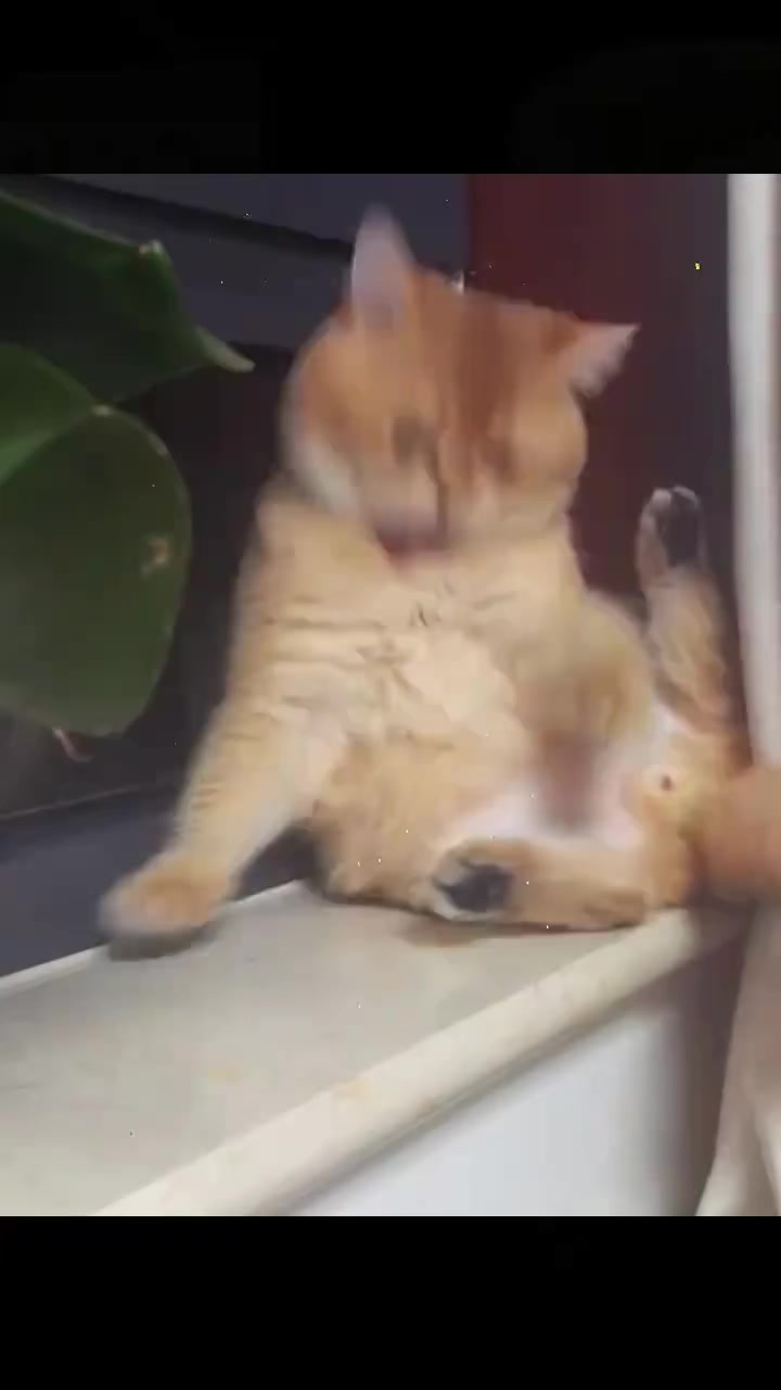 @trạm cute