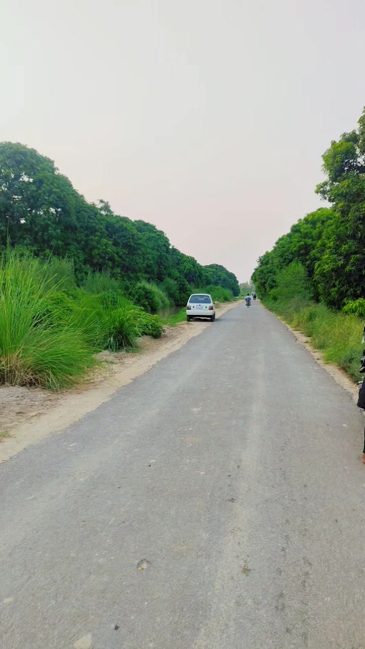@Liaqat sahu