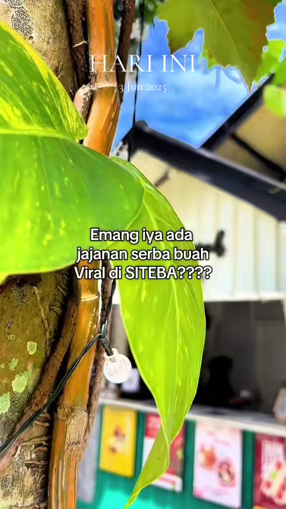 @SERBA BUAH PADANG2