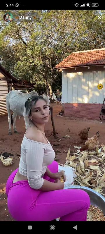 @estelar