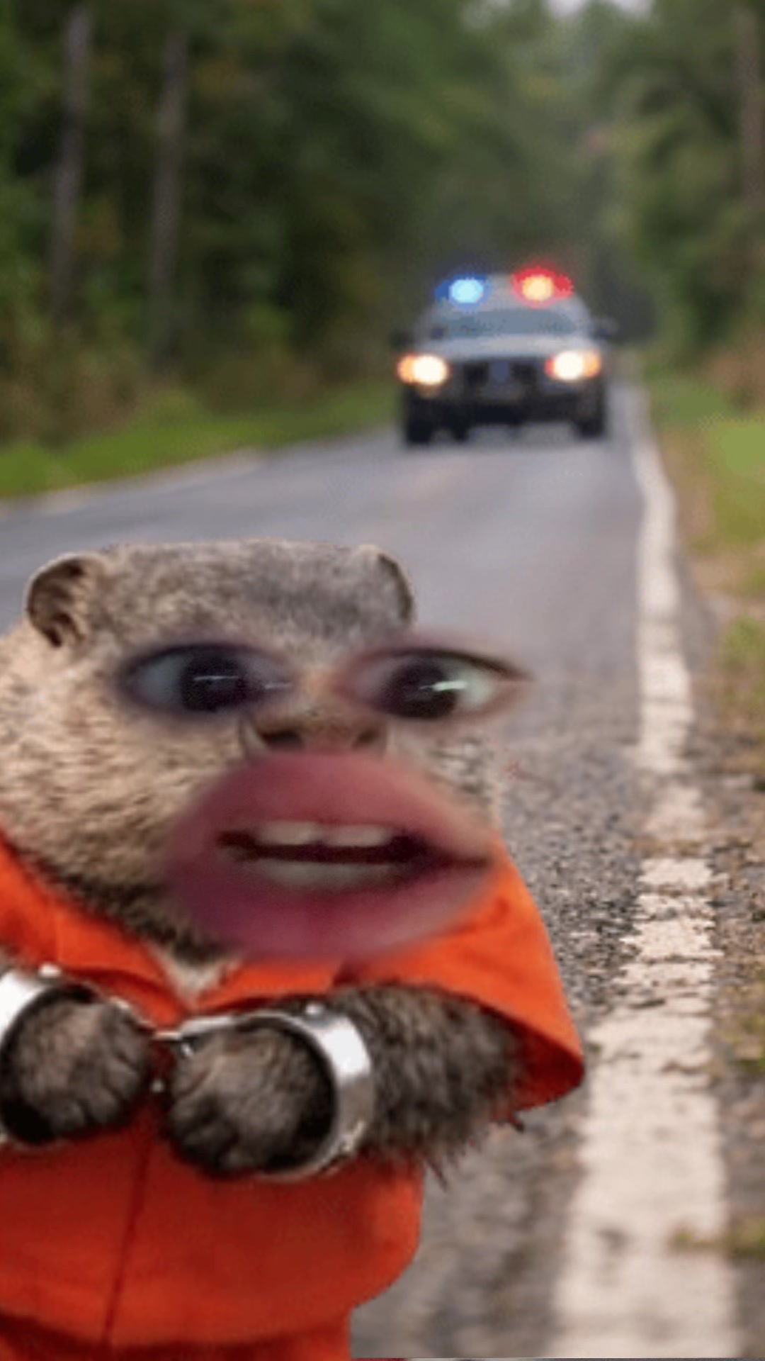 @bear