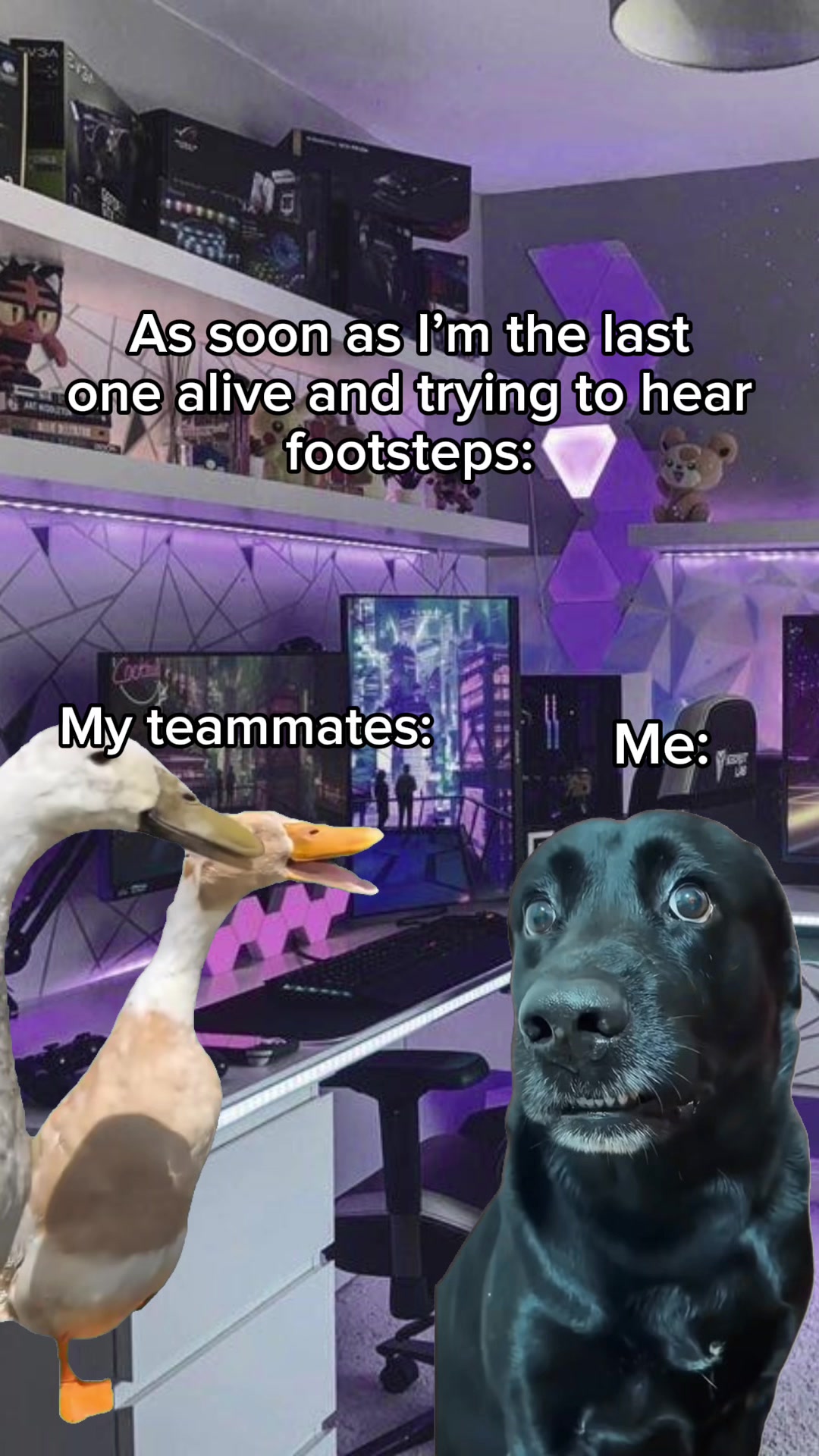 @Forhago