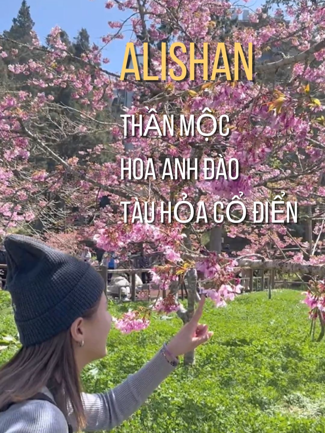 @Taiwanna_Go