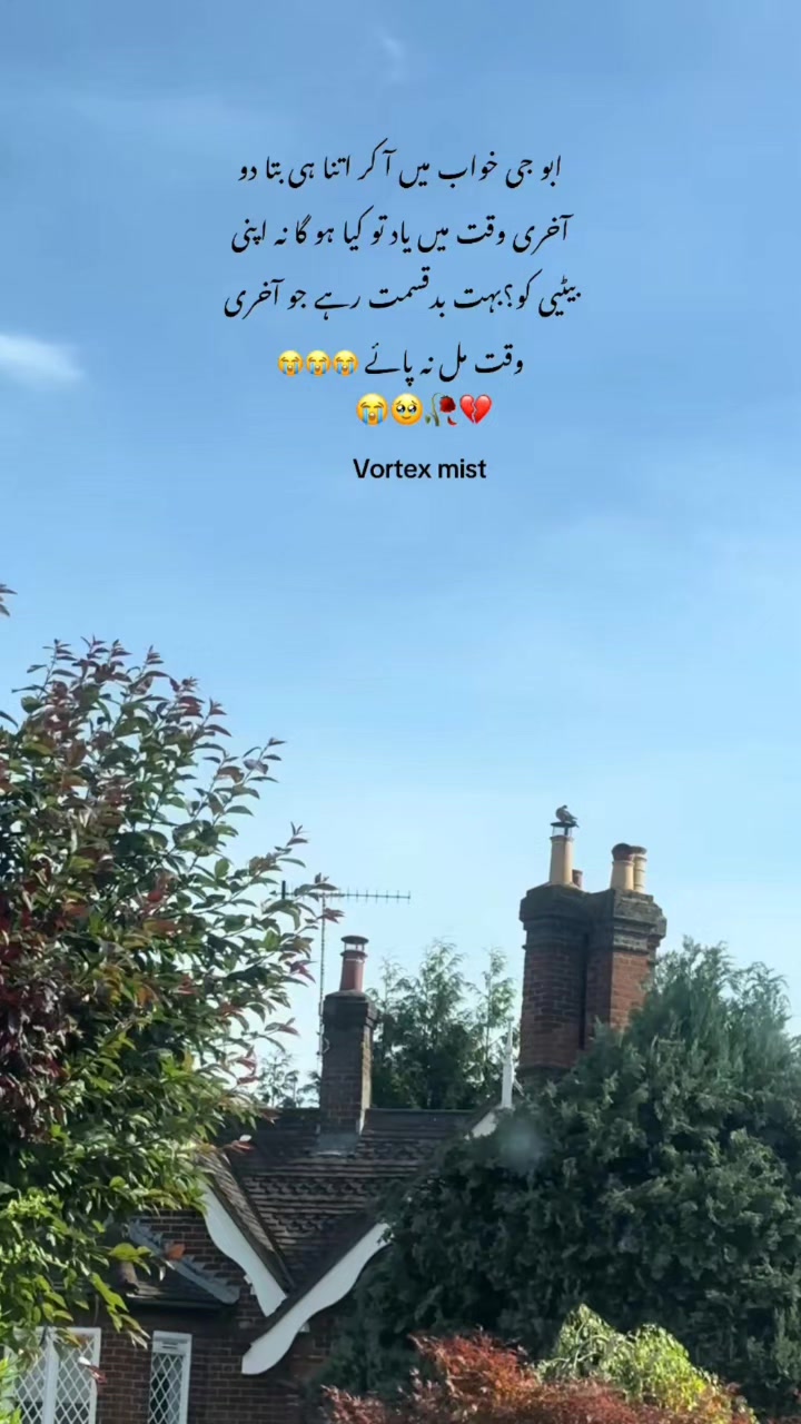 @Ambreen❤️