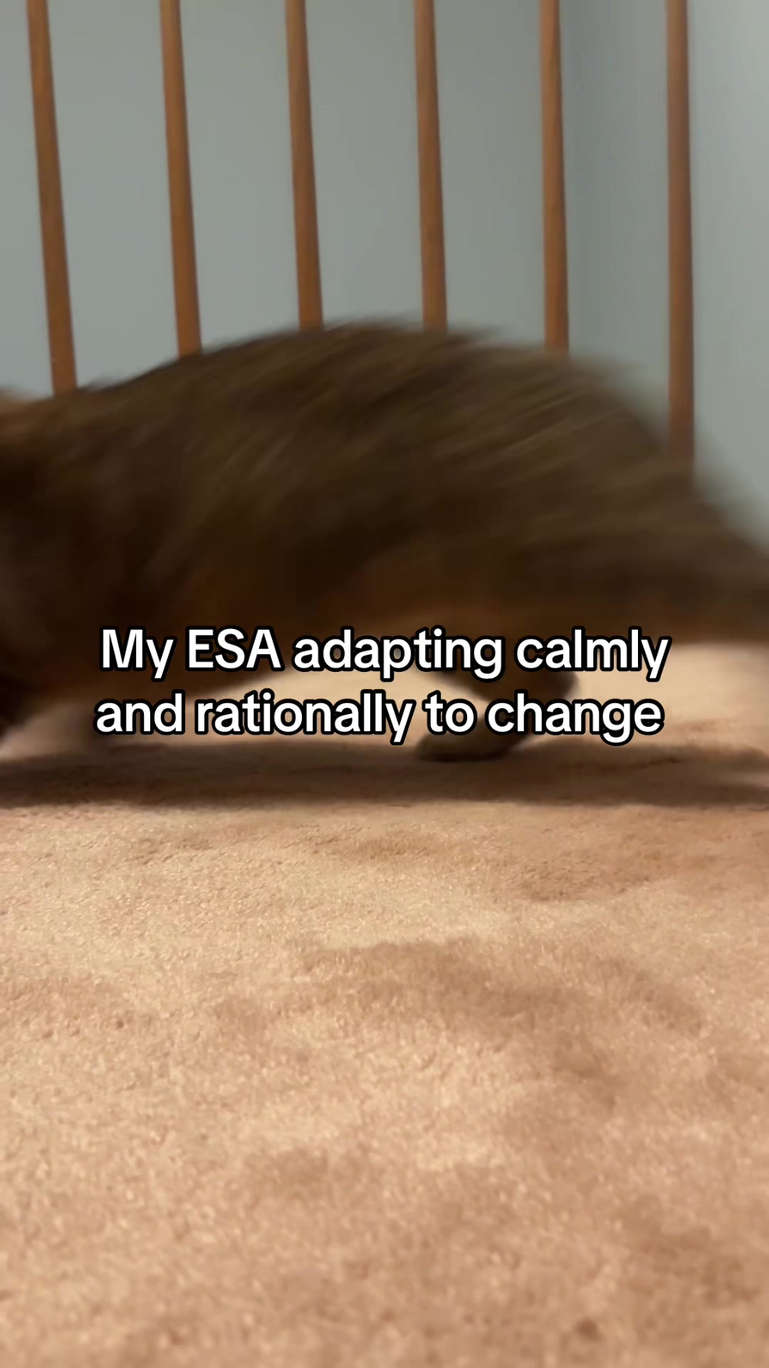 @Casey Oestreich