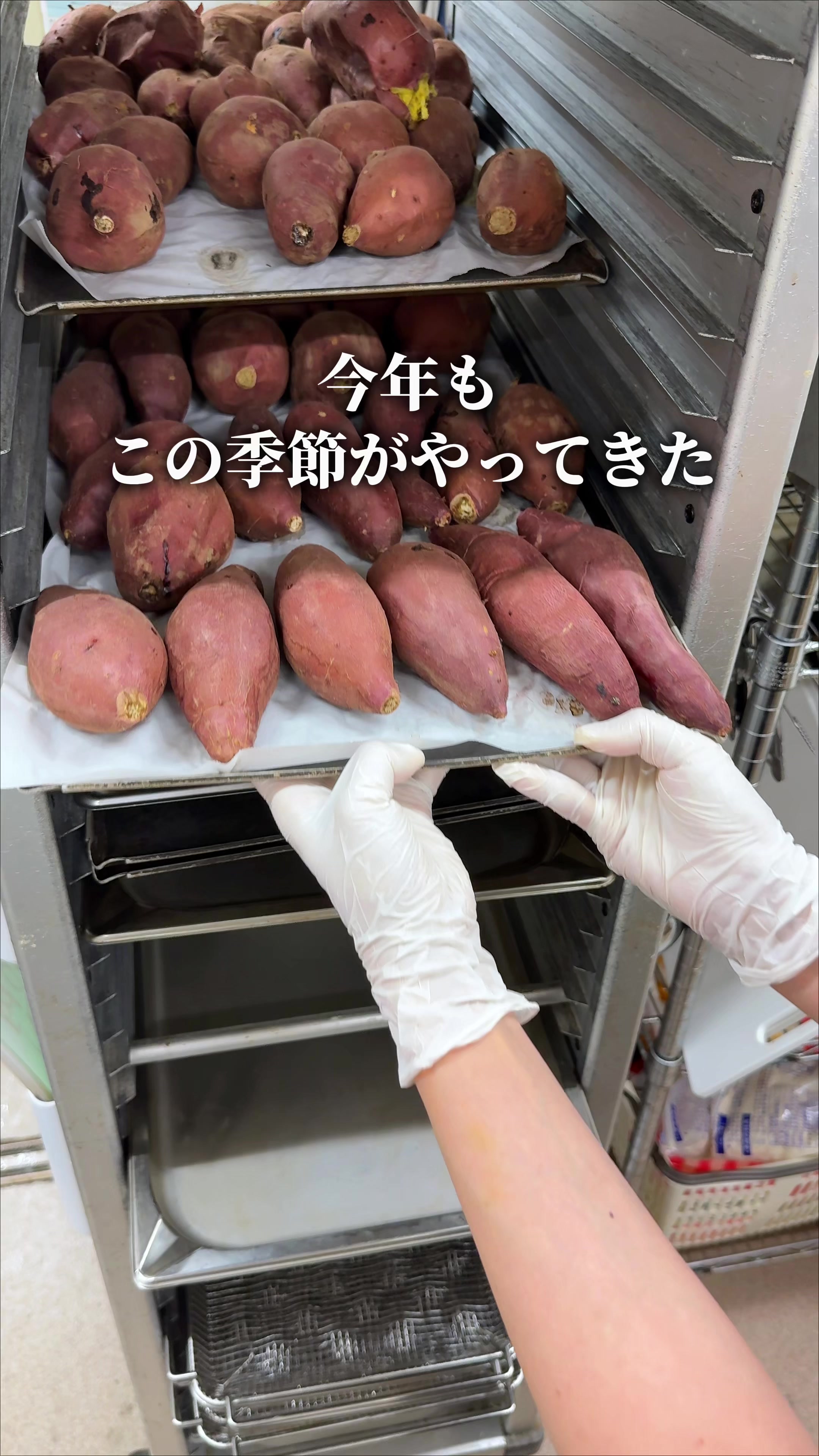 @ひろと / 大阪発!関西トレンド独占旅🔥