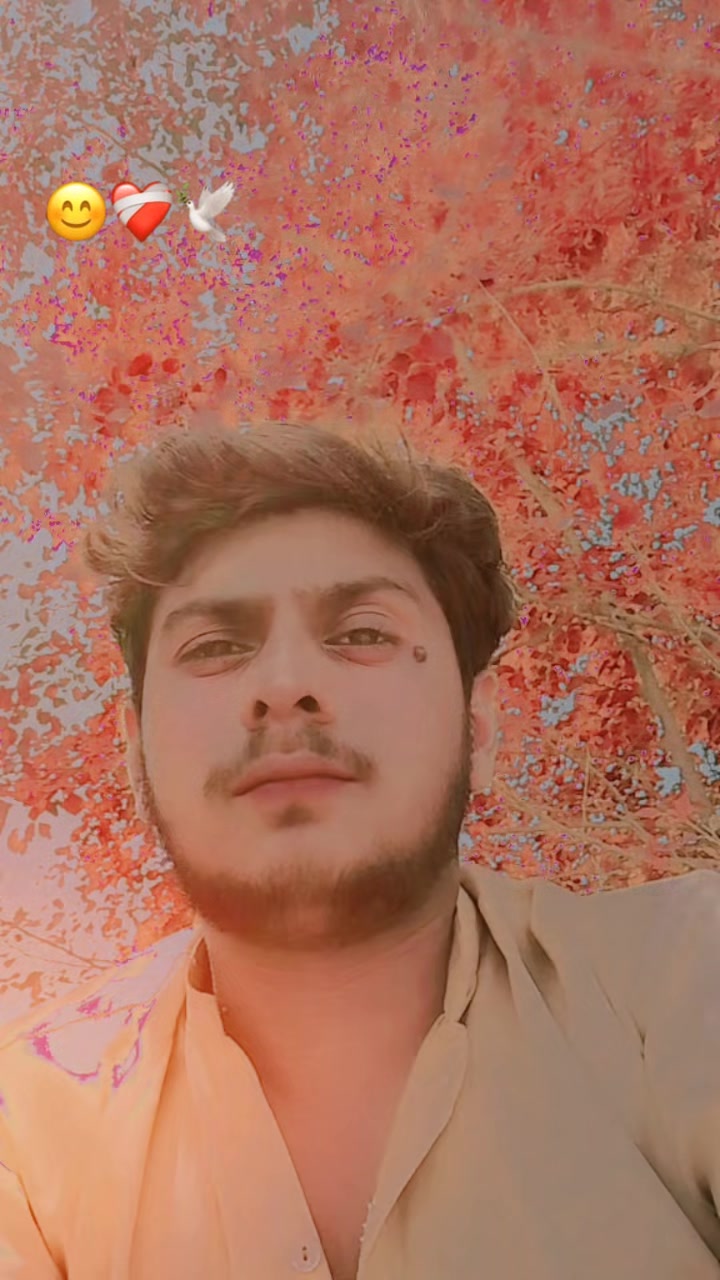 @💞تیرا ہو جان💞