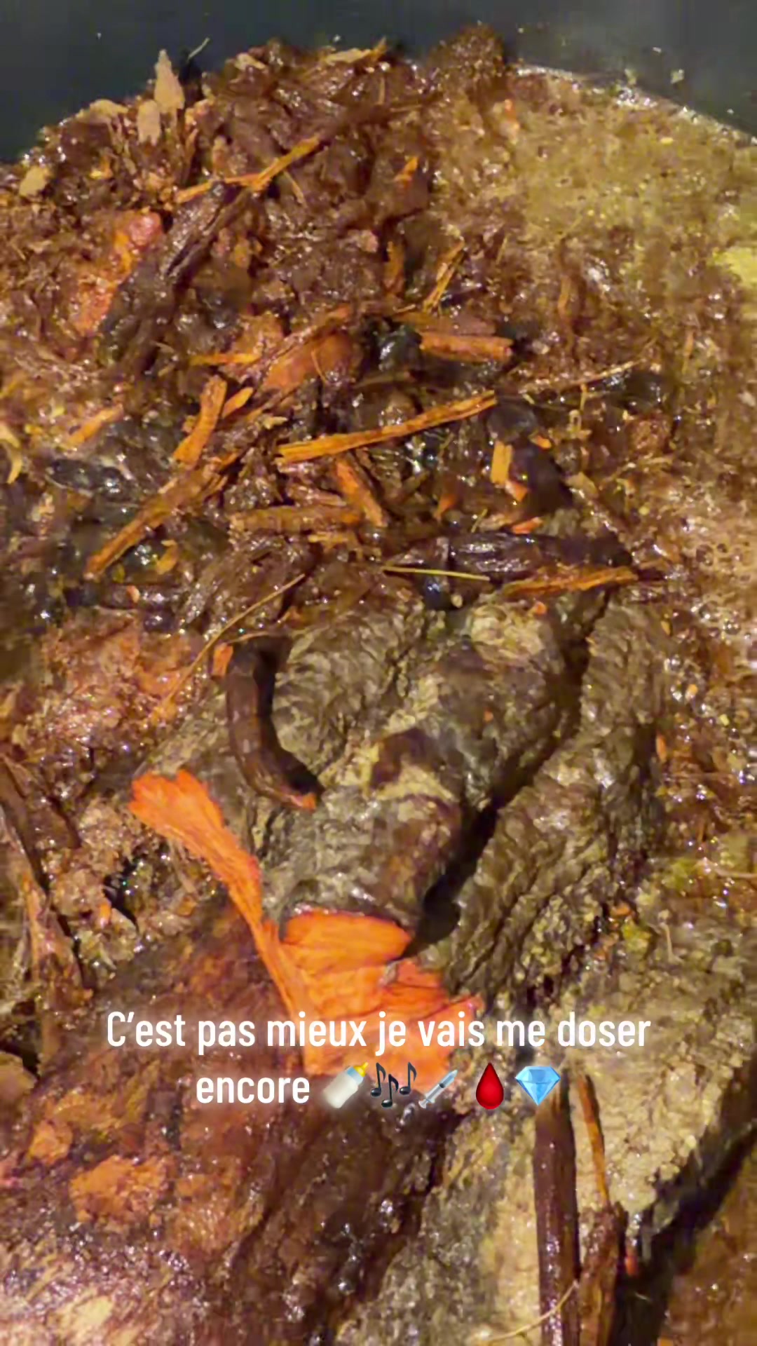 @vitalethebest🇨🇮💉🇫🇷