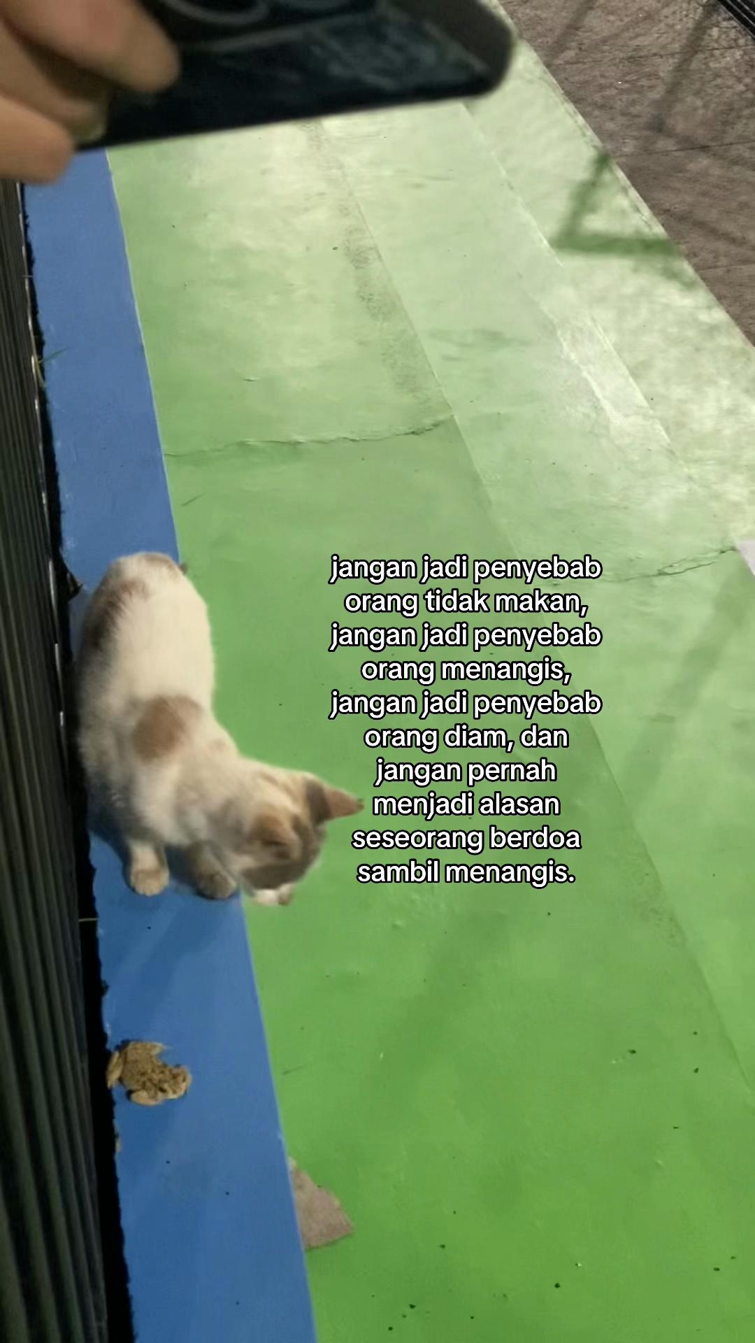 @t