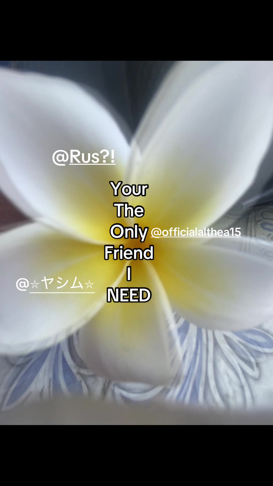 @ɪᴛs ʟɪʏᴀʜᰔᩚ