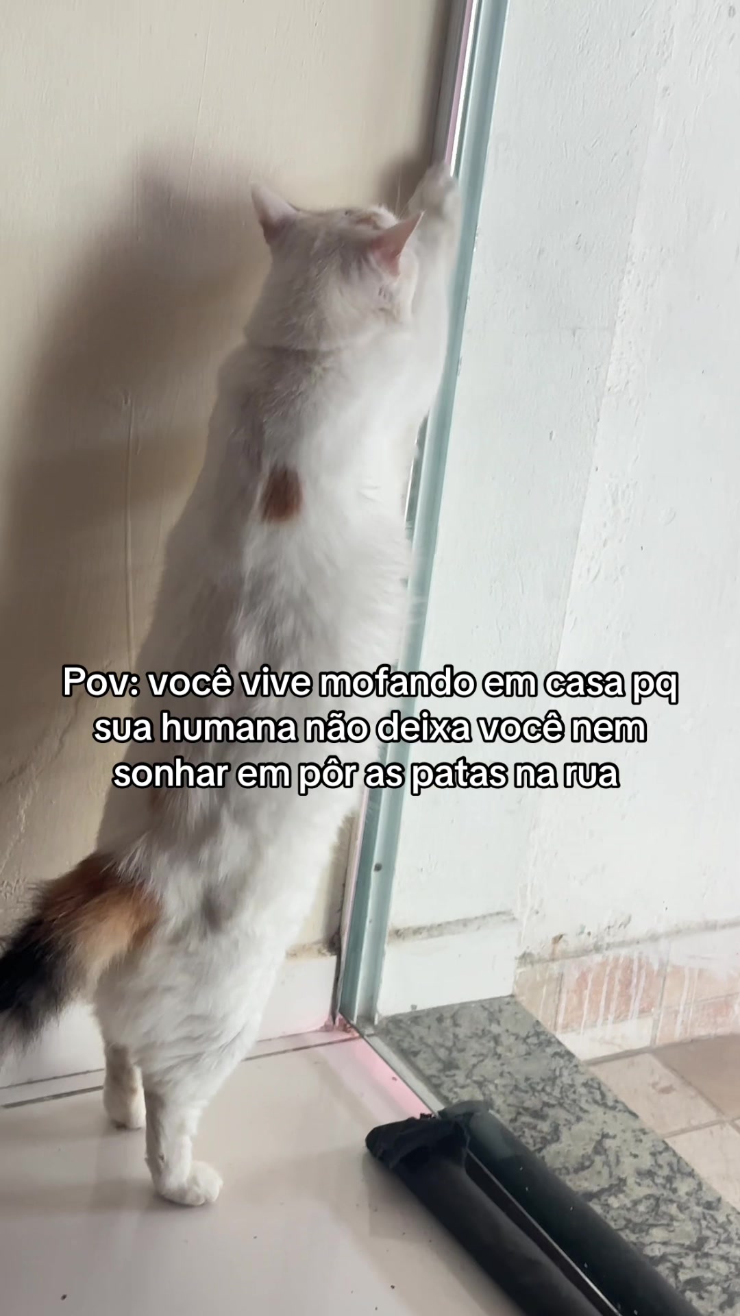 @Thainá Brito