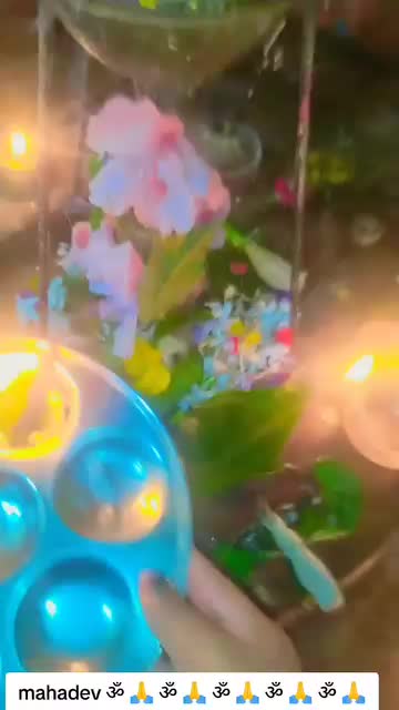 @SharbanSunitaRoyYadav861🤞❣