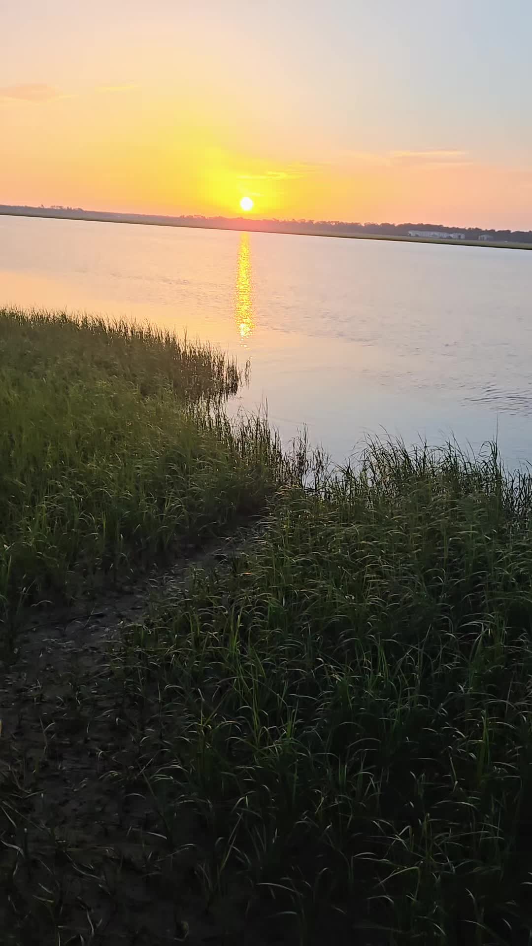 @dizzyd36