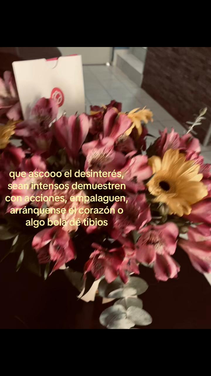 @Milena Acosta