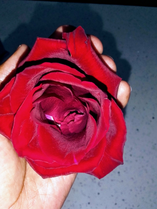 @PearlBhebhe
