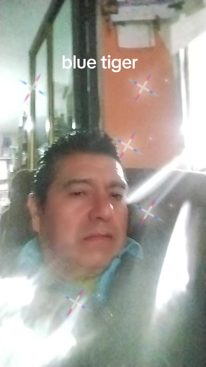 @bluetiger