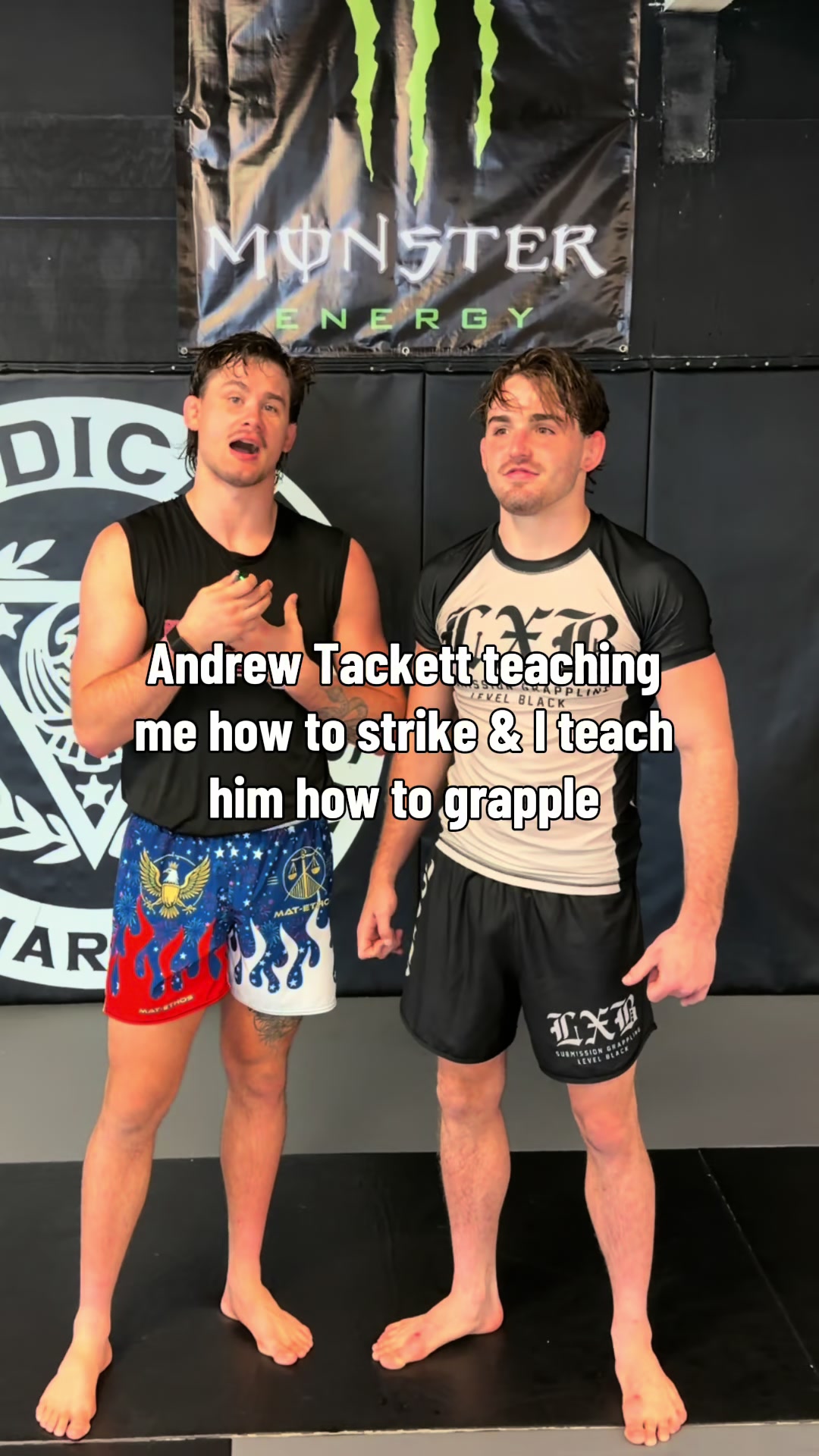 @Alexei Pergande