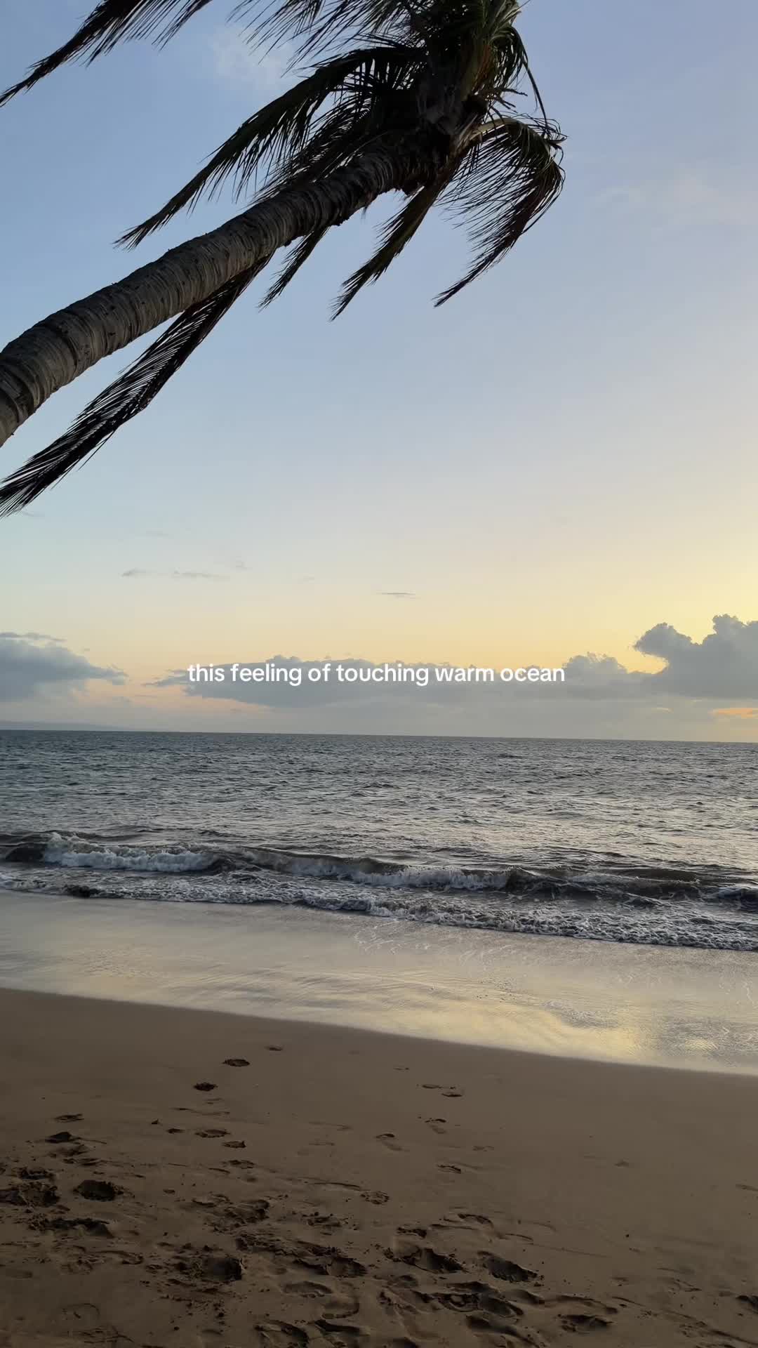 @Viksi | Traveler & Creator