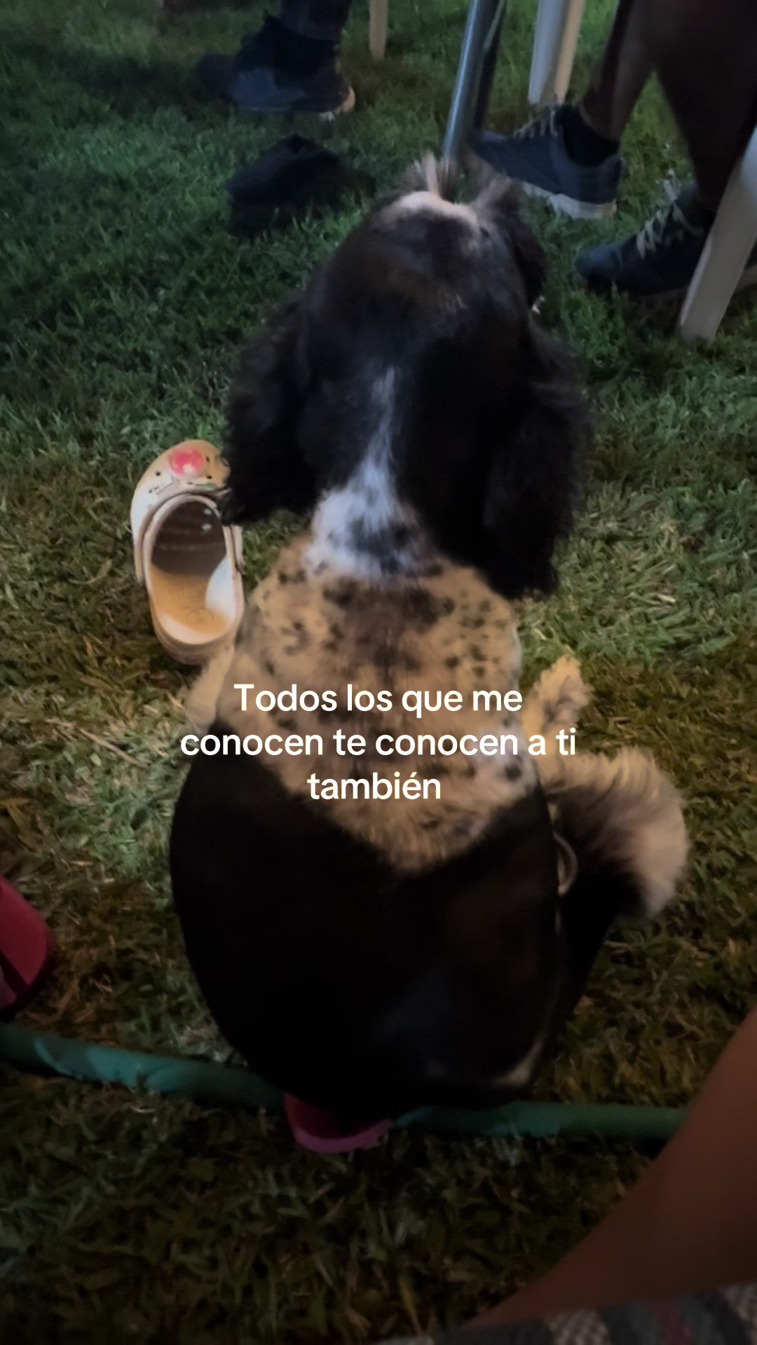 @LUU🦋