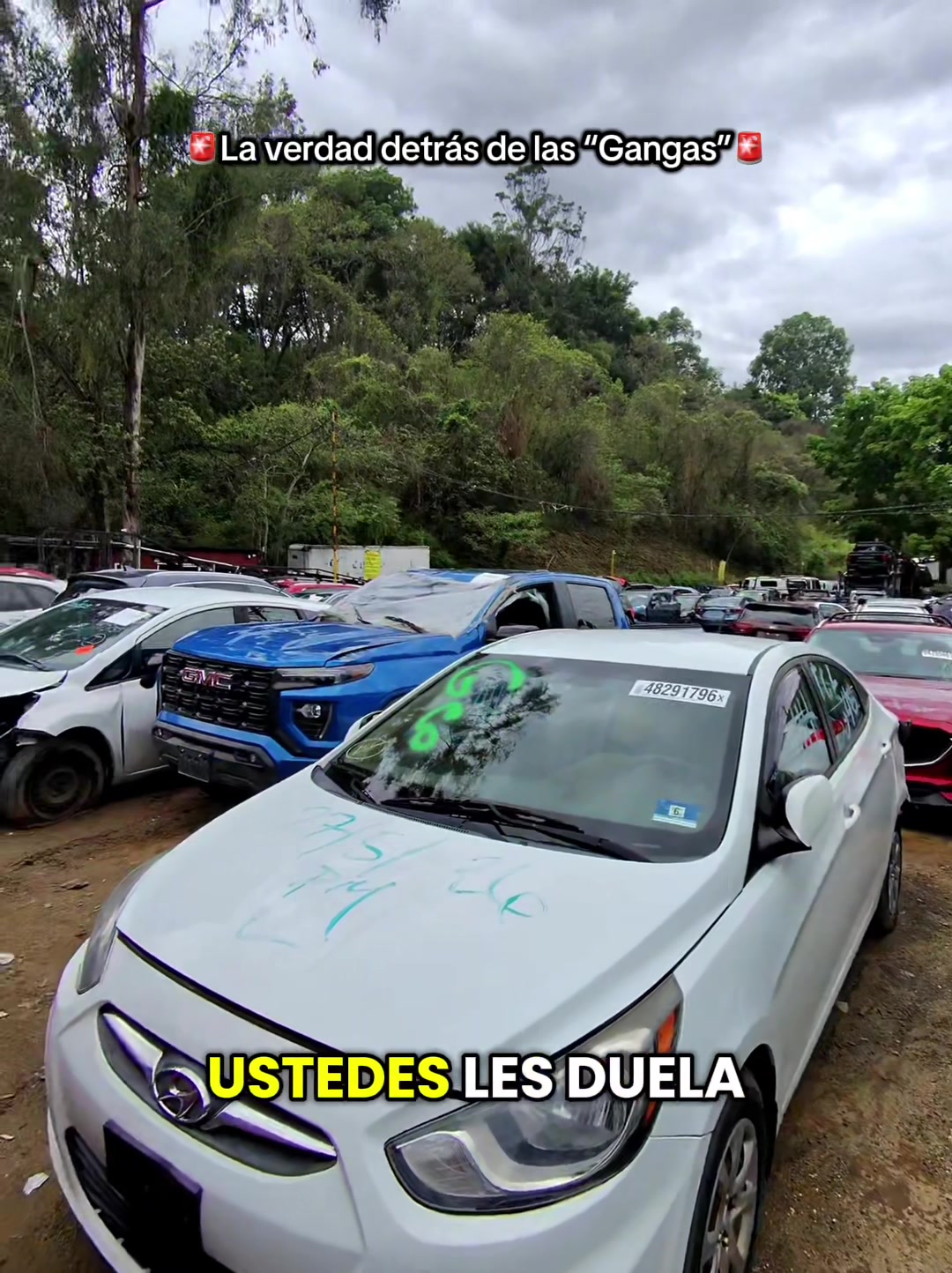@MonacoMotorsGT