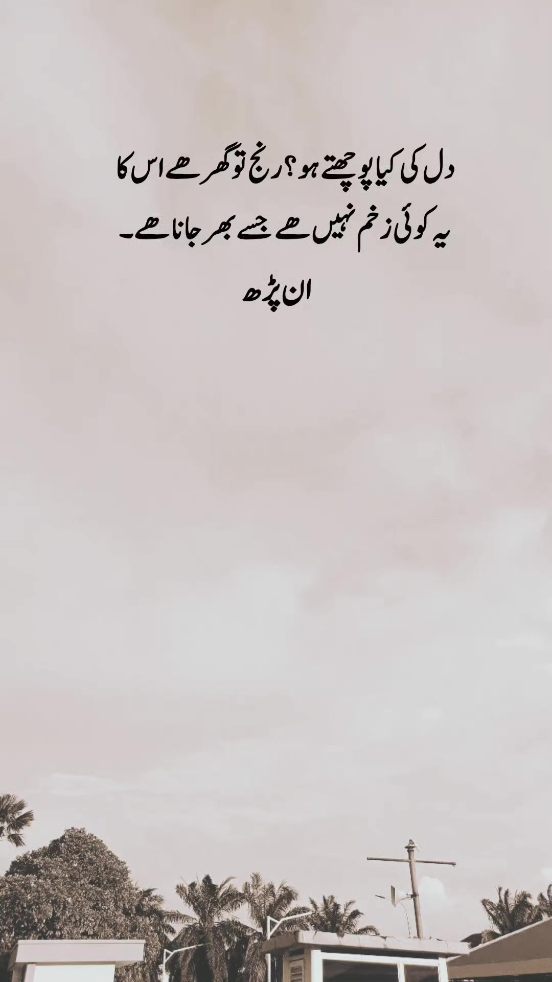 @ان پڑھ 🍁