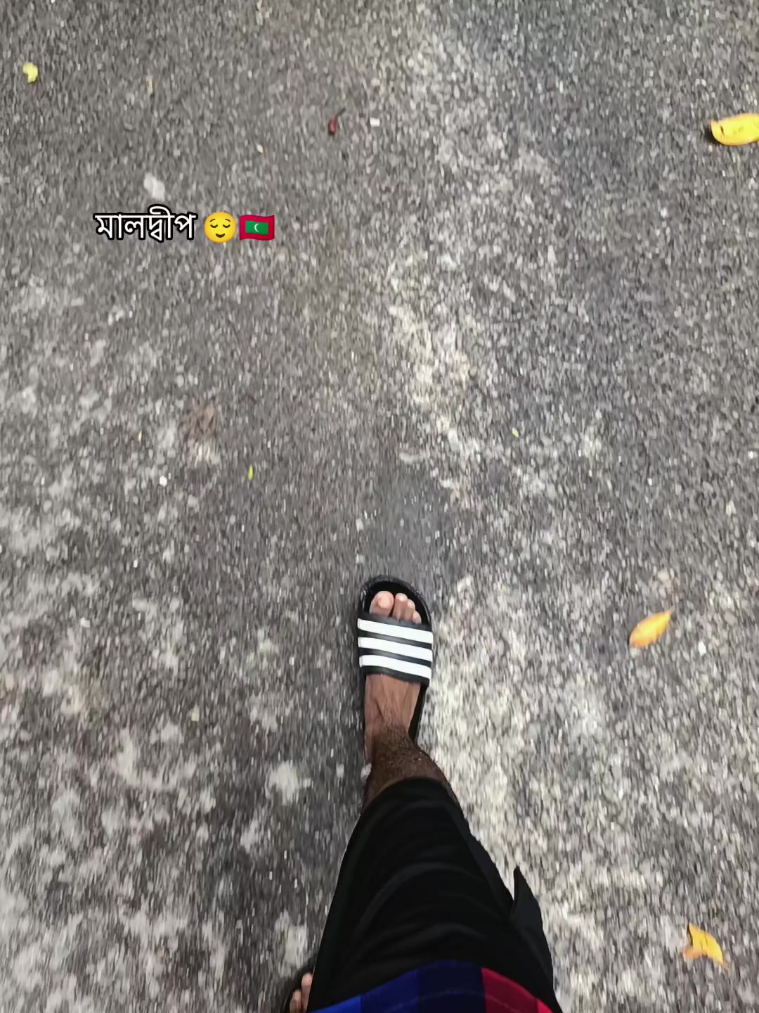 @✿🇧🇩々Sʜᴀᴍɪᴍ々🇲🇻✿