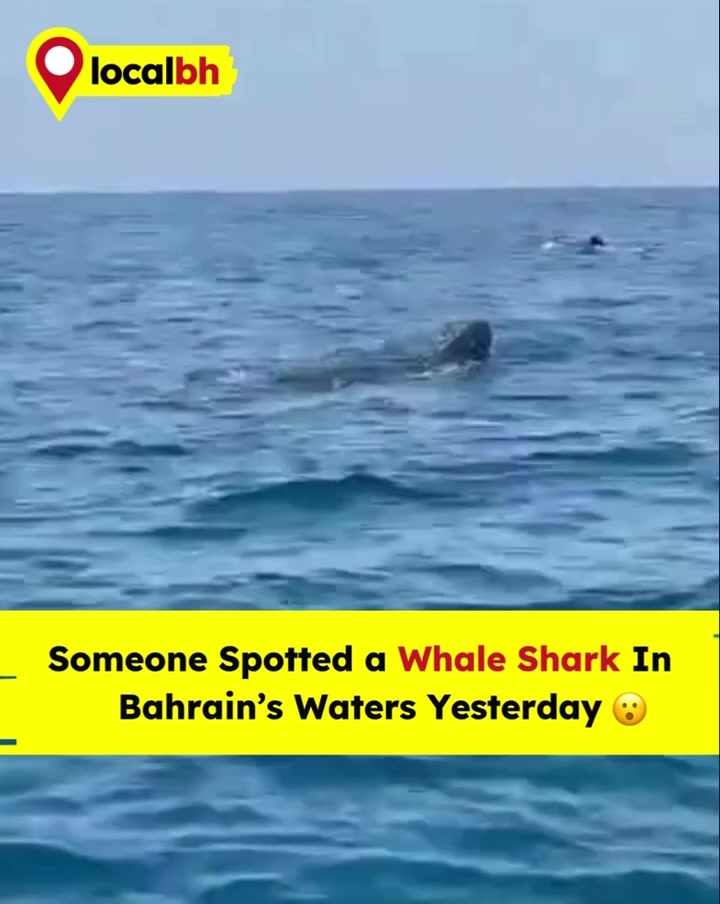 @Local Bahrain