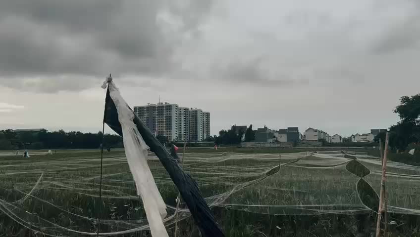 @Topan Akbar
