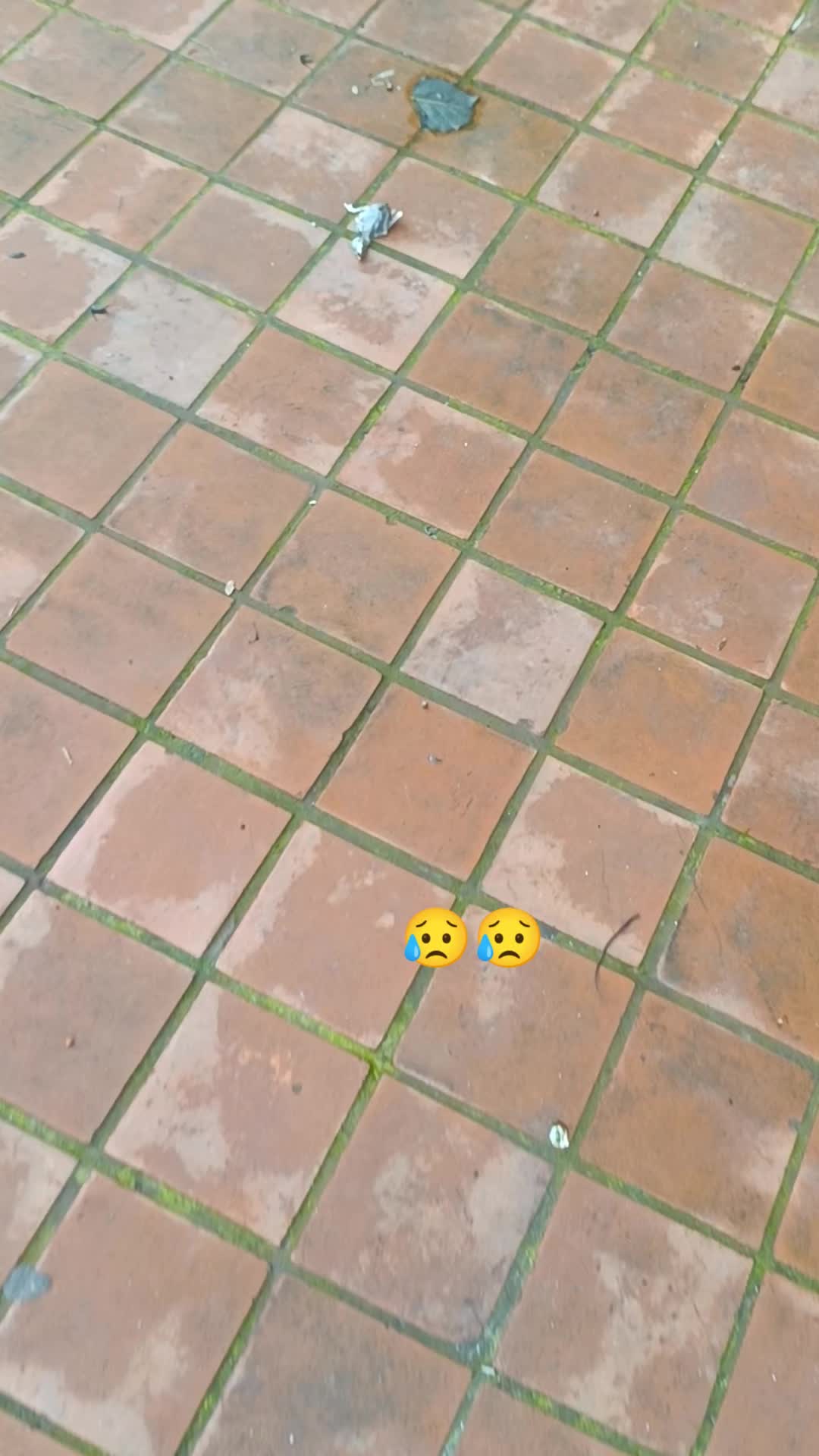 @Jojo Nepal ✅