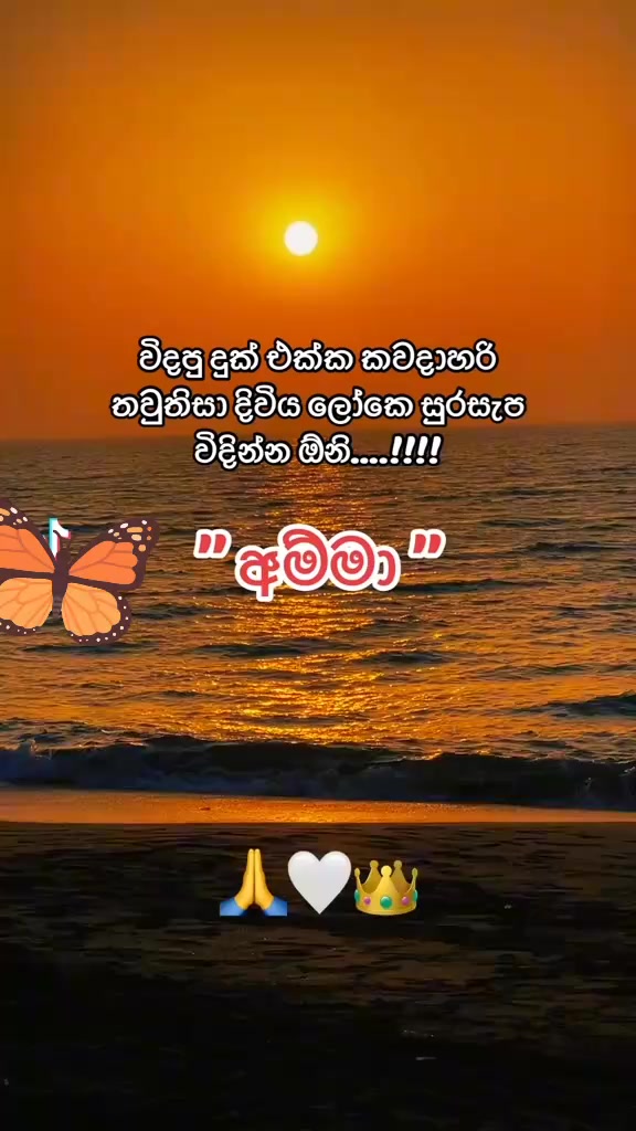 @සුදු නෝනා🩷🩷🩷