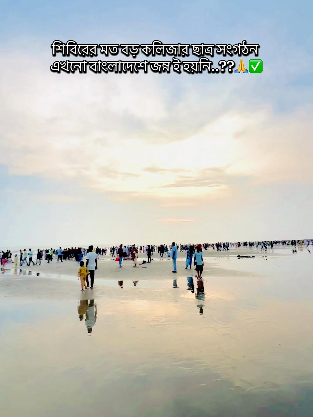 @shibir001