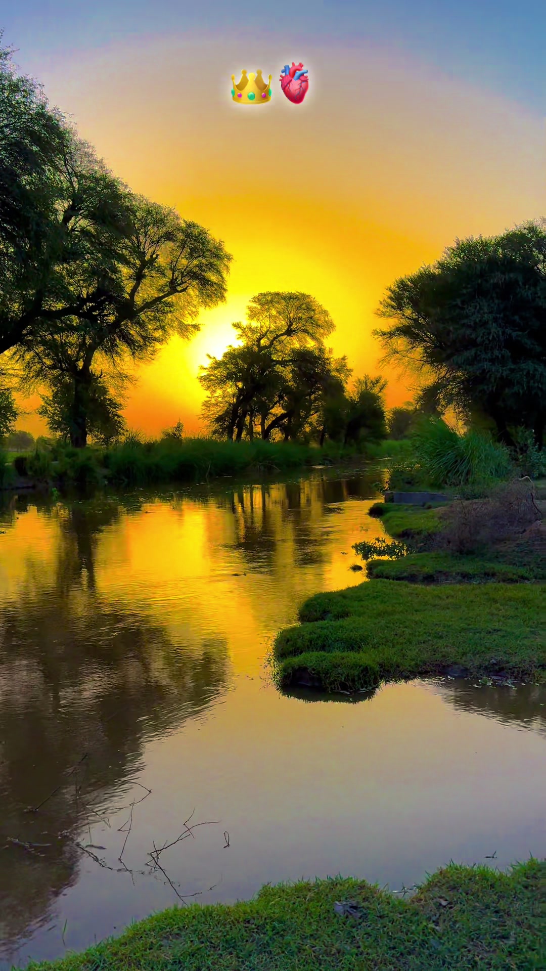 @پنجابی کلچر 🌾🍂