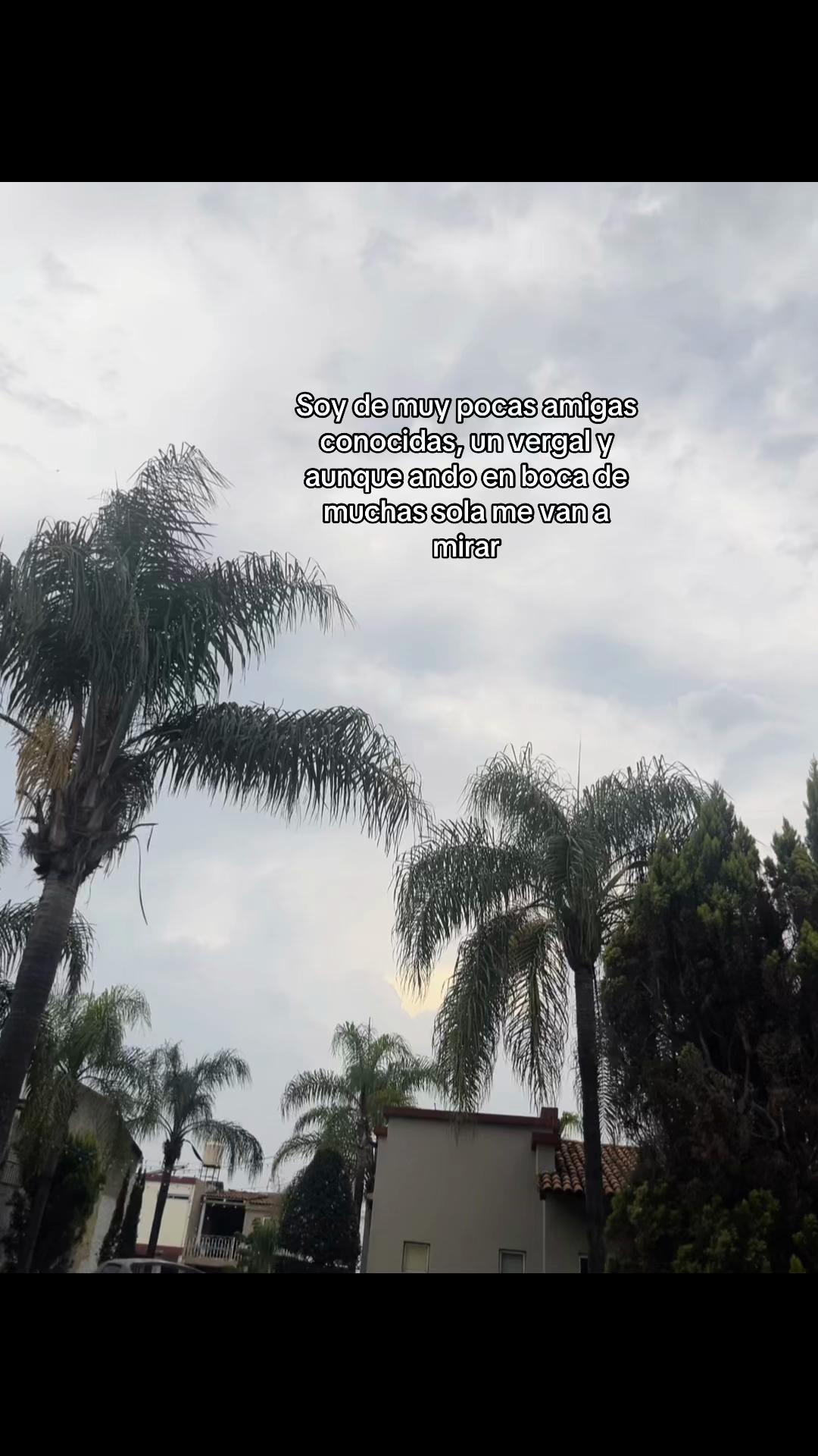 @chapisrp7