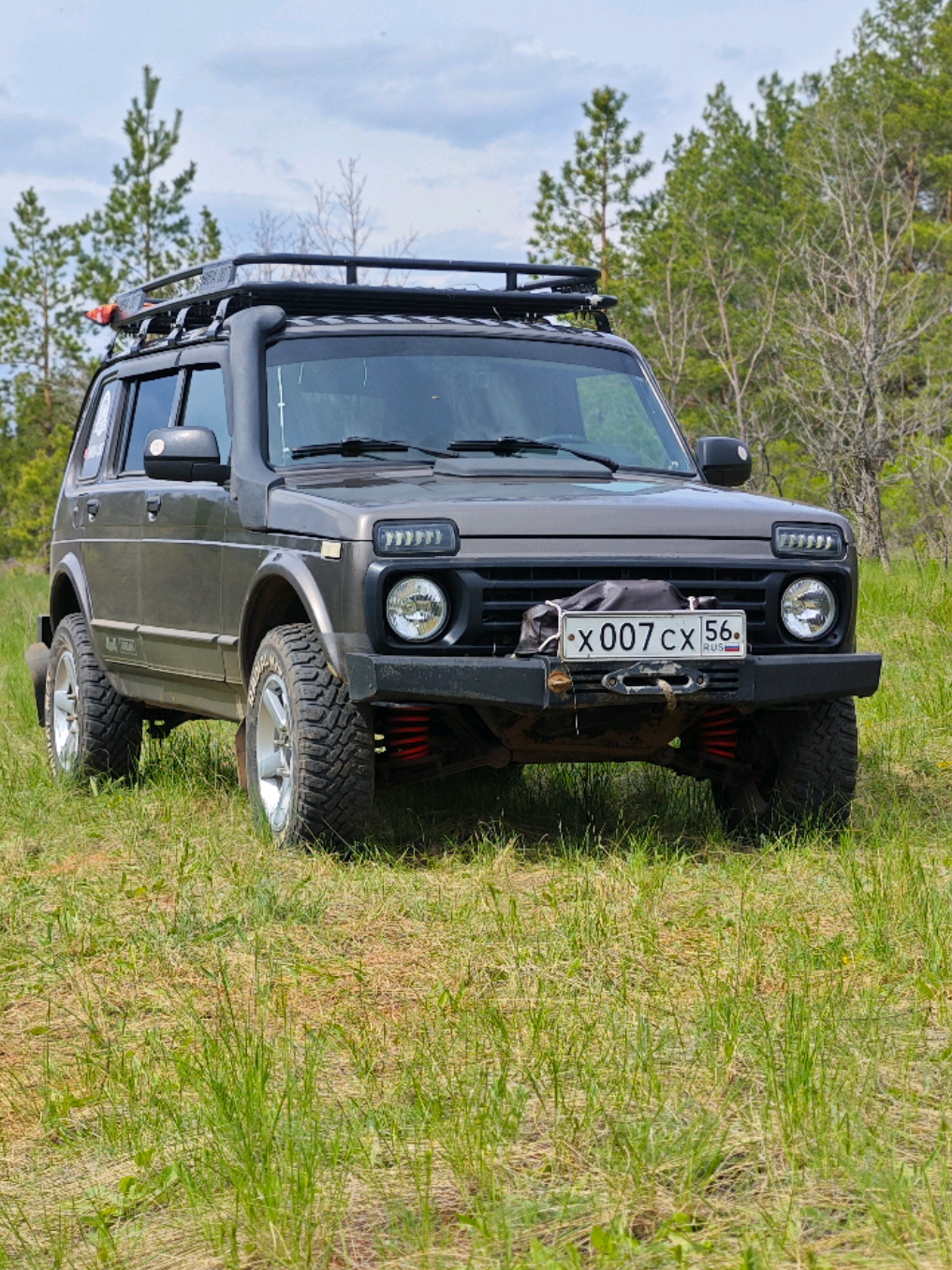 @niva 007