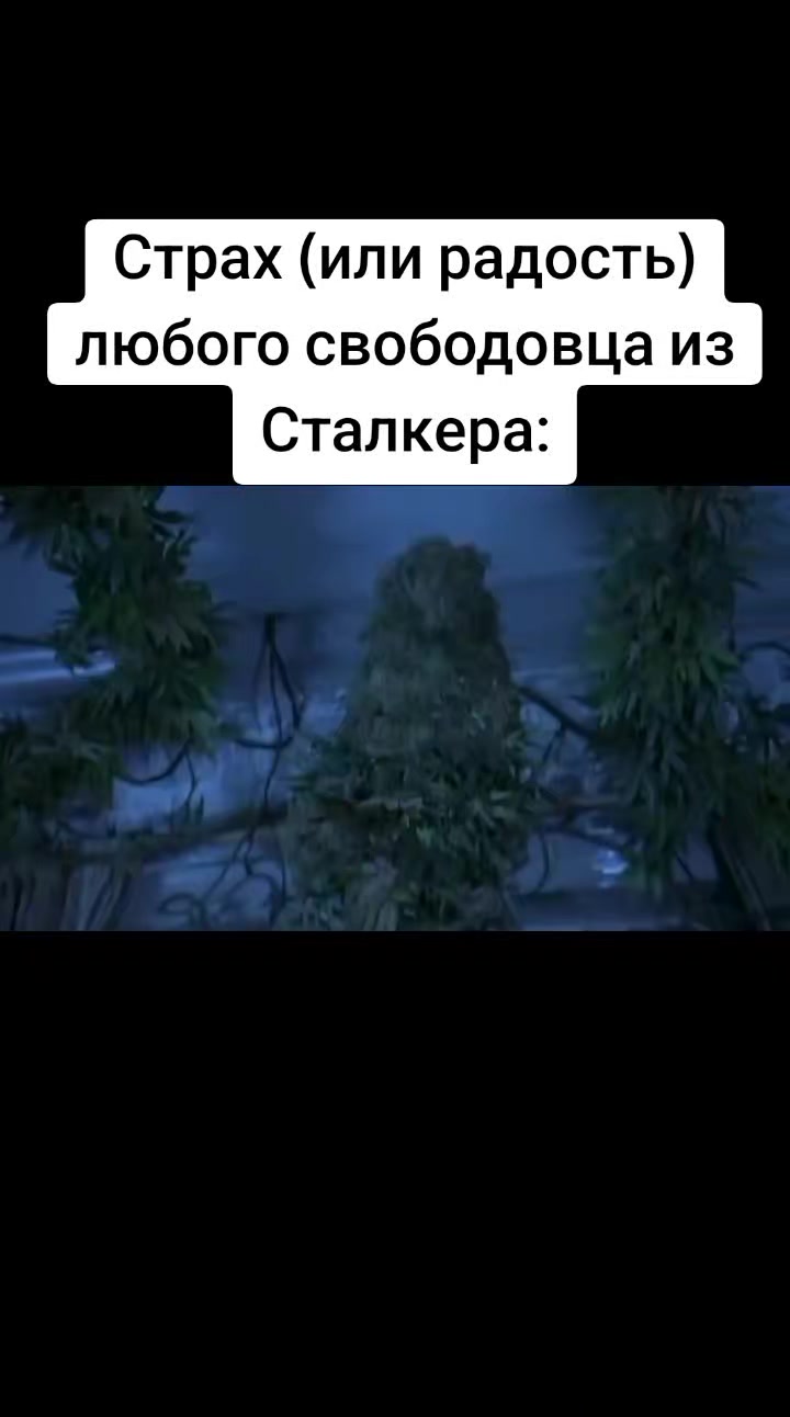 @Бурятский Сталкер03
