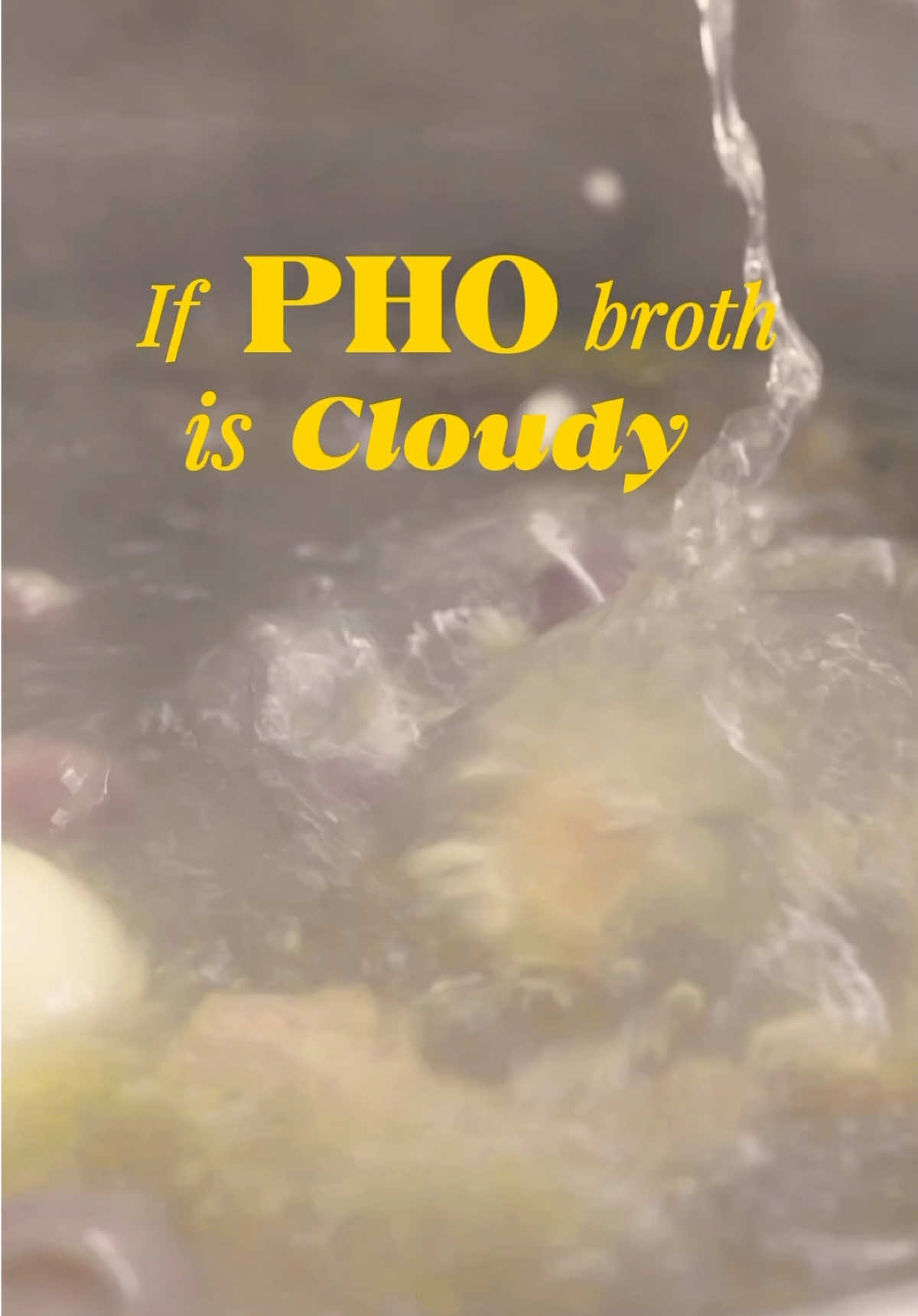 @cochungvietnamesedaily