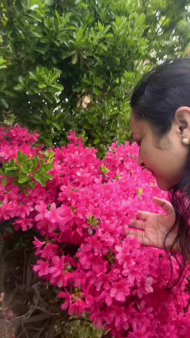 @Parth Prayash