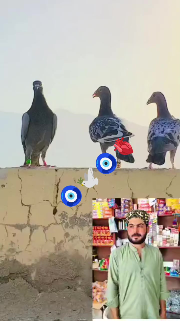 @⚜️Asif Ali⚜️🥷☠️