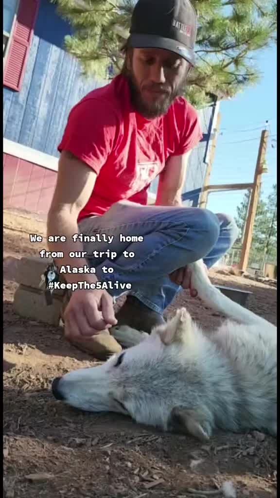 @Pack 22 Alpha