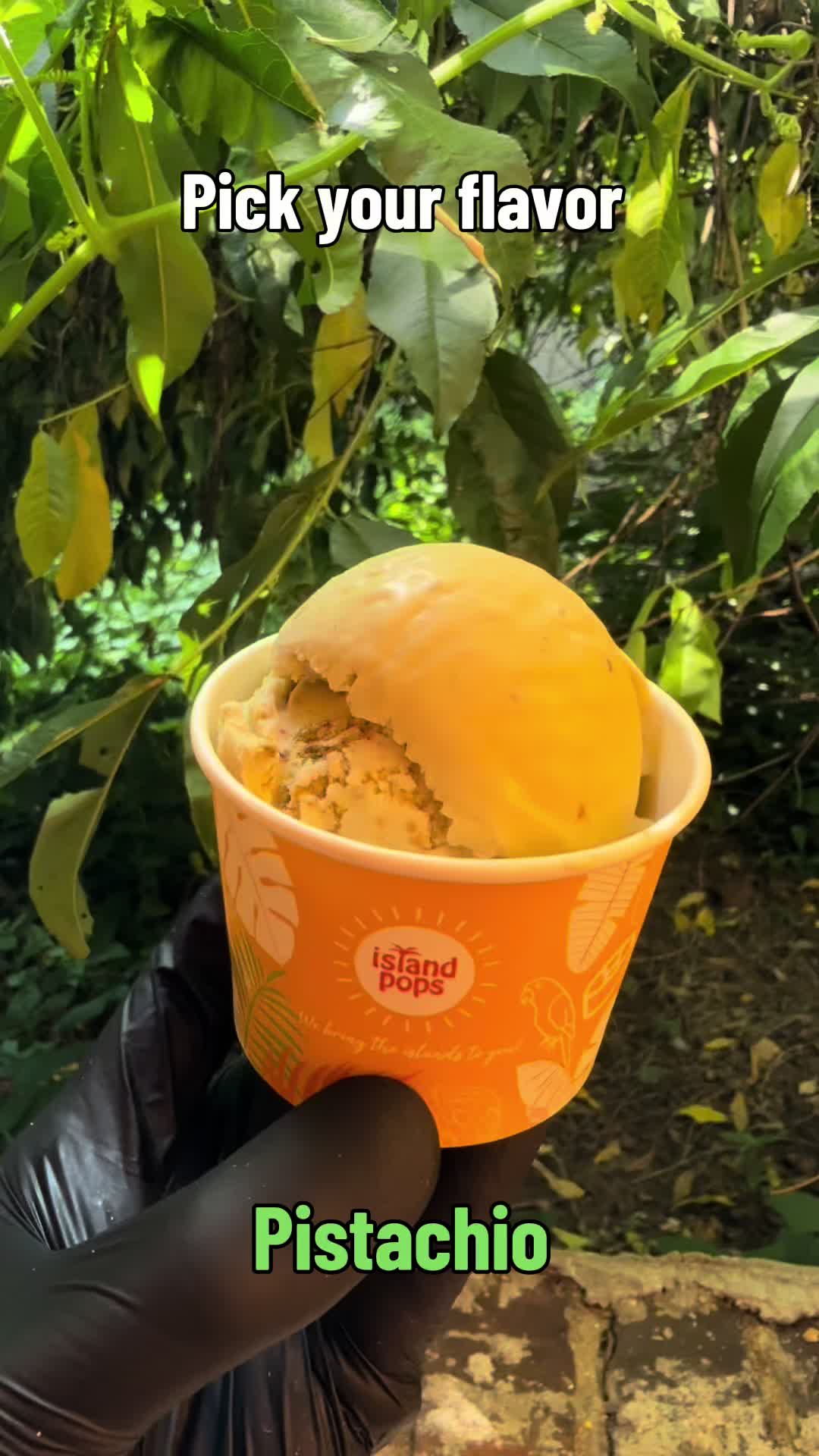 @Island Pops