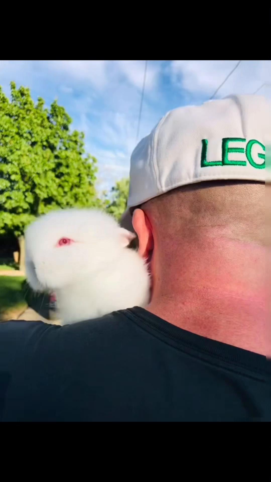 @THE MAGICAL CANNABUNNY