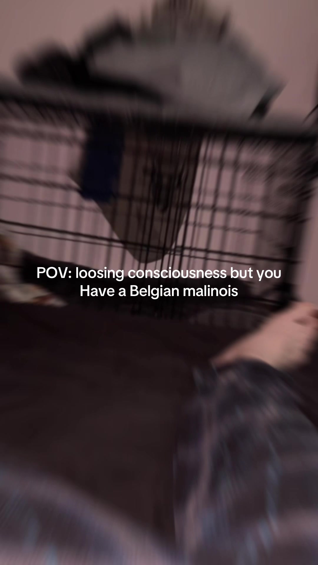 @Revos
